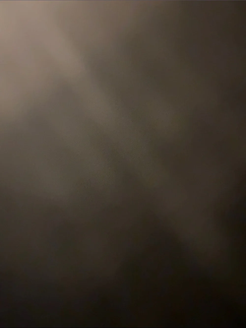 Coach Black Leather Shoulder Bag with Front Buckle Pocket and Gold Hardware